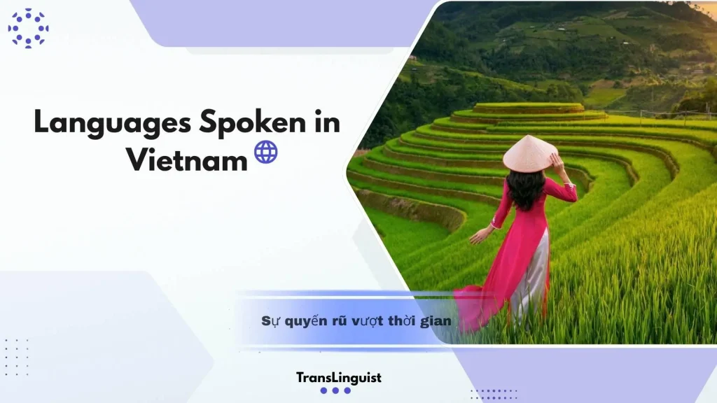 Languages Spoken in Vietnam: Explore Linguistic Diversity