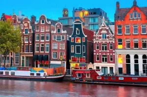 Languages of the Netherlands, TransLinguist
