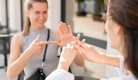 Sign Language Interpretation