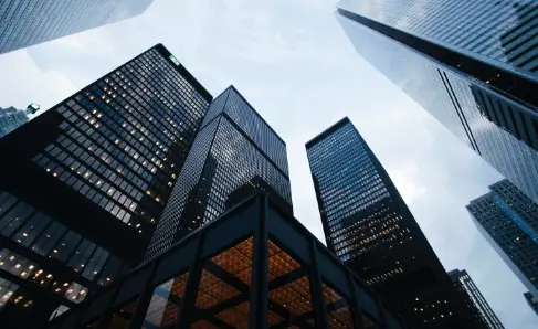 International Organization, Video Remote interpretation