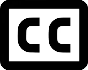 Subtitles Using An AI.