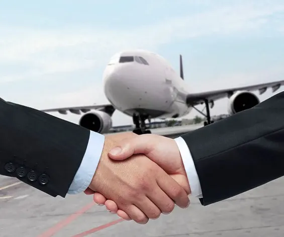 The Solution TransLinguist Provided​